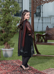 SHAZADI 7