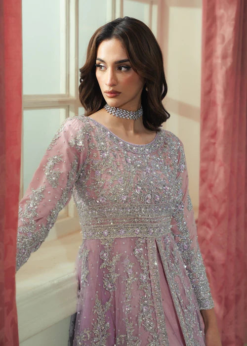 shehla 1
