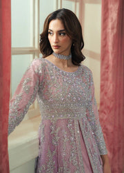 shehla 1