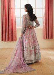 shehla 1