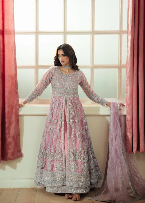 shehla 1