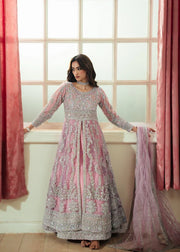 shehla 1