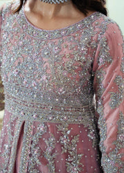 shehla 1